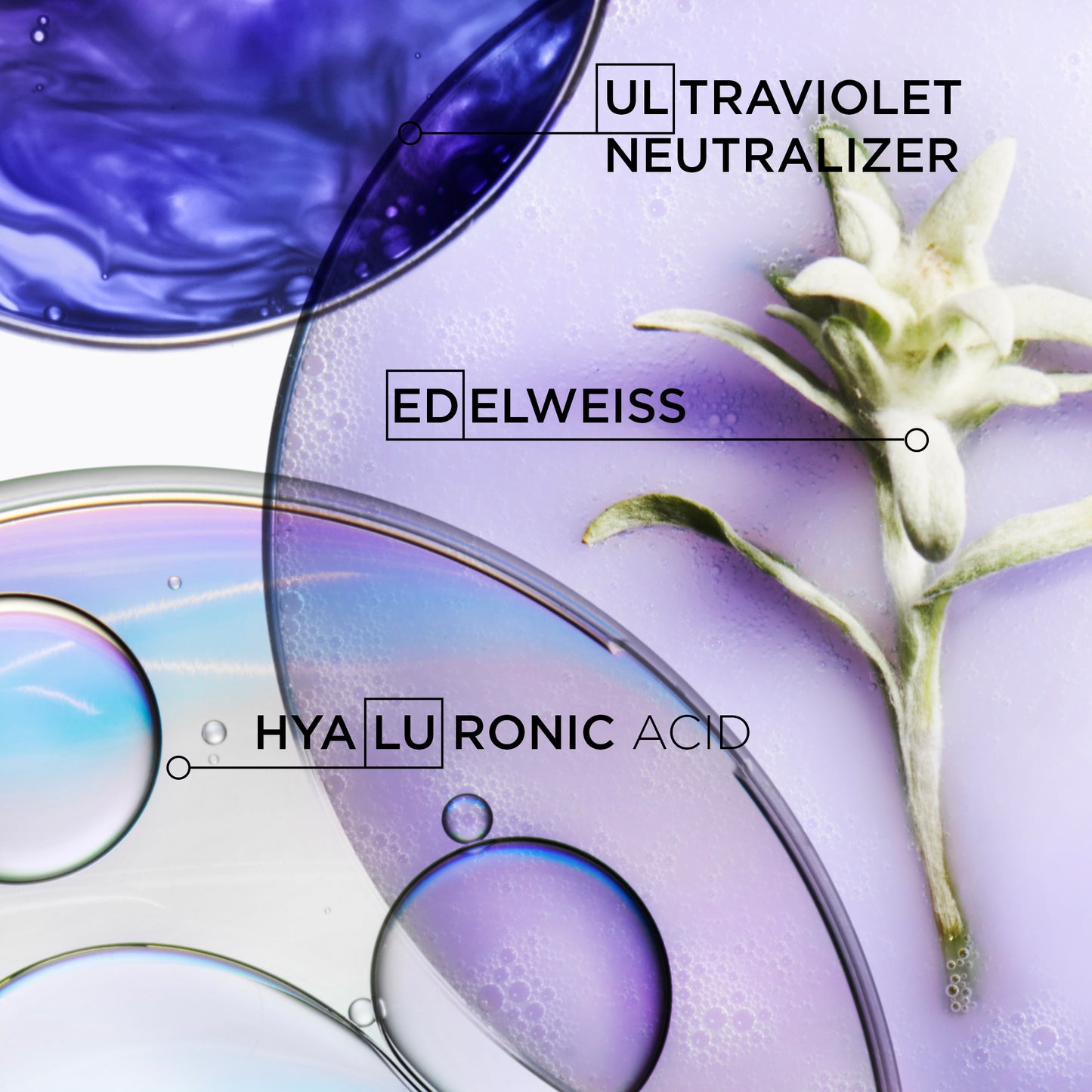 BLOND ABSOLU - Masque Ultra-Violet Purple Hair Mask