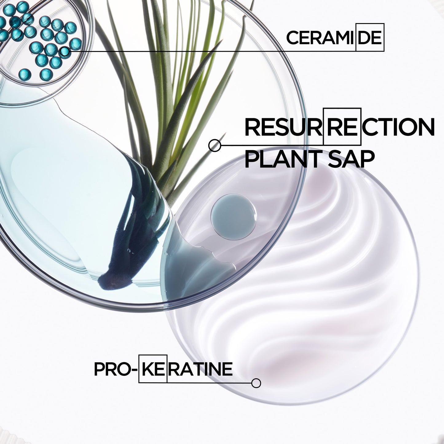 RÉSISTANCE - Bain Force Architecte Shampoo